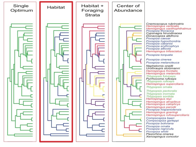 PooHemiGraphicalAbstractJune62012