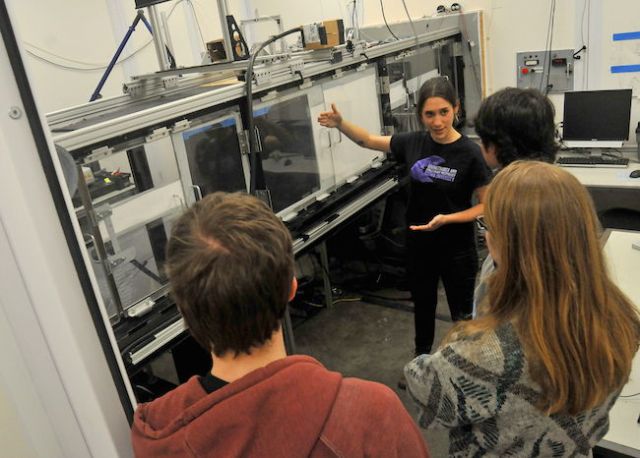 Rosalyn Price-Waldman