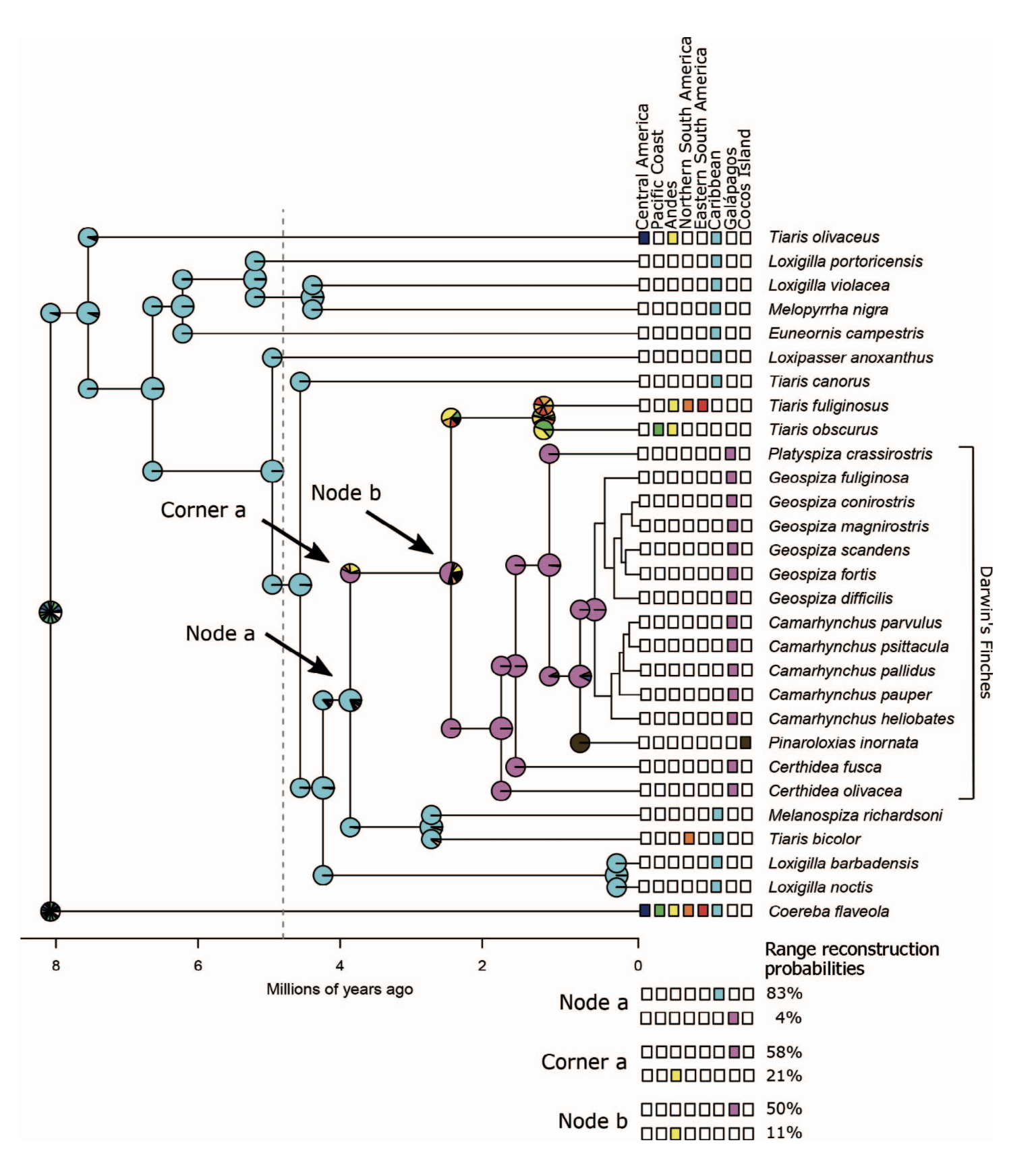 Origin of Darwin's Finches