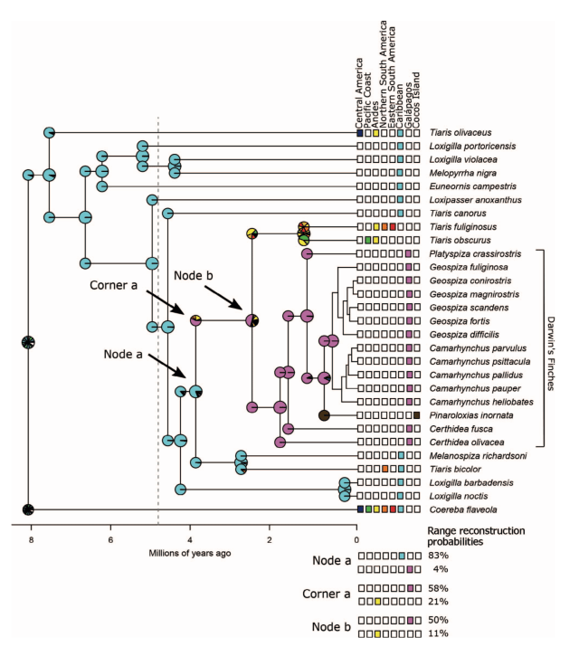 Origin of Darwin's Finches