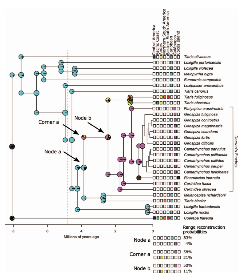 Origin of Darwin's Finches
