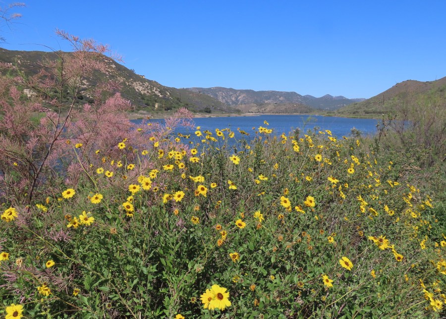 Lake Hodges