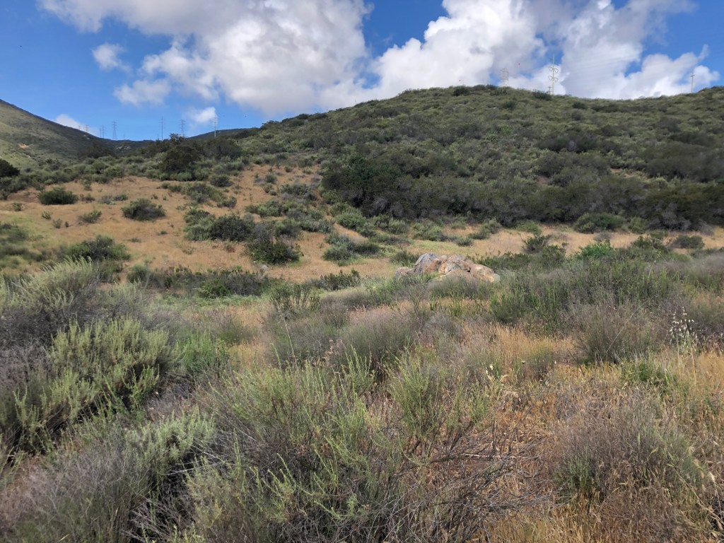 Mission Trails Regional Park